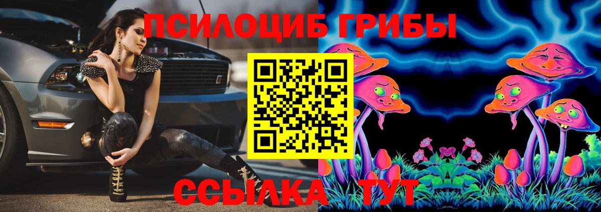 ТГК Гатчина